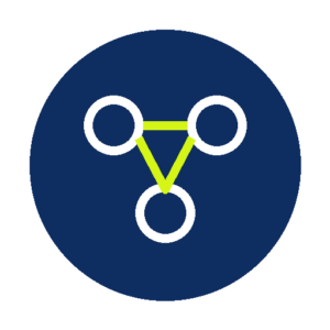 UAE network card icon
